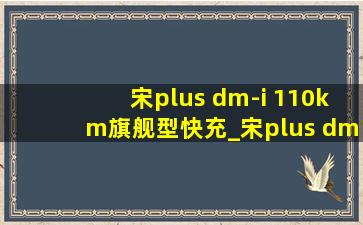 宋plus dm-i 110km旗舰型快充_宋plus dm-i110km旗舰版